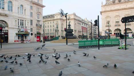 Lockdown-In-London,-Taubenvögel-In-Zeitlupe-Fliegen-Im-Leeren-Piccadilly-Circus-Während-Der-Covid-19-Pandemie-2020