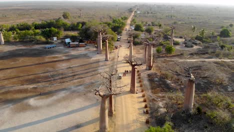 Allee-Der-Baobabs,-Madagaskar