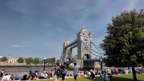 Tower-Bridge-from-Potters-Field-Park,-London