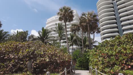 Hotel-resort-behind-palm-trees-at-beach-of-Miami-in-summer