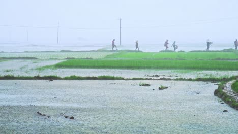 Monsun,-Regen,-Regen