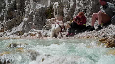 Una-Pareja-Con-Un-Perro-Toma-Un-Freno-Al-Caminar-Junto-A-Un-Arroyo-En-Los-Alpes-Alemanes