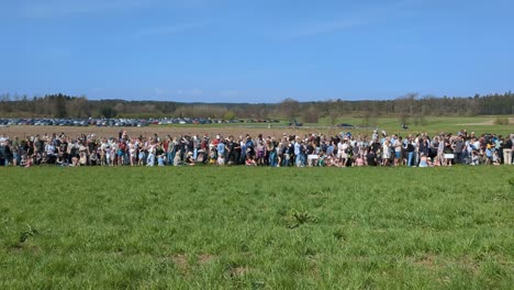 Cows-being-released-for-the-first-time-in-spring-after-being-kept-housed-over-winter