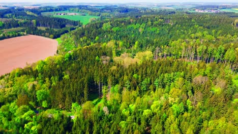 Aerial-View-of-Lush-Green-Forest-Canopy-Adjacent-to-Plowed-Farmland