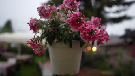 Blumenstrauß-Hängt-Im-Garten,-Regennasse-Blütenblätter-Auf-Einer-Wunderschönen-Eventdekoration-Im-Hinterhof