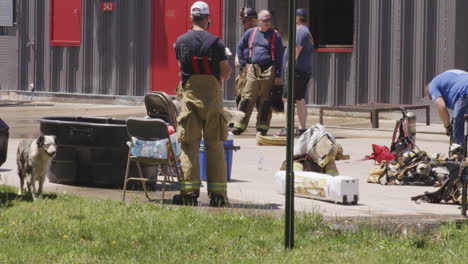 Firefighters-and-rescue-dogs-preparing-for-training-outside-a-fire-station