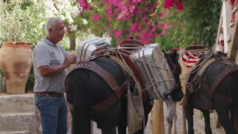 Man-packing-suitcases-on-donkey-by-hotel-on-Hydra-Island,-Greece