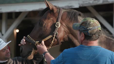 Herzerwärmende-Aufnahmen-Eines-Jockeys,-Der-Im-Stallbereich-Von-Churchill-Downs-Endlos-Die-Nase-Des-Rennpferds-Küsst-Und-So-Ihre-Verbundenheit-Zur-Schau-Stellt