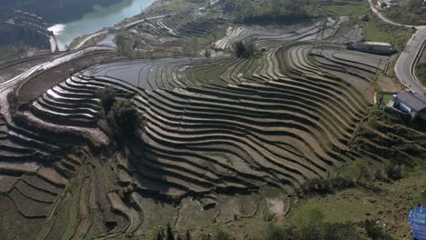 Aerial-drone-shot-of-rows-of-bright-green-rice-terraces-in-the-mountains-of-Sapa,-Vietnam