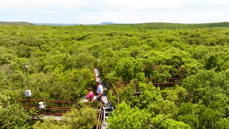 Scientists-walking-over-bridge-between-trees-doing-research-on-water-inside-forest-environment