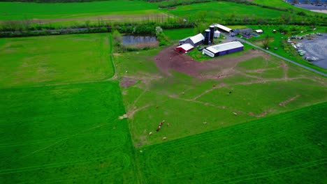 Farm-with-cattle-in-Howard-Pennsylvania,-USA