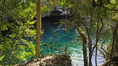 Menschen,-Die-An-Einem-Heißen,-Sonnigen-Tag-Im-Kristallklaren-Wasser-Der-Mexikanischen-Cenote-Schwimmen