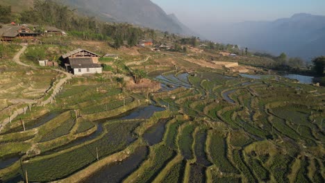 Volando-Sobre-Terrazas-De-Arroz-De-Color-Verde-Brillante-En-Las-Montañas-De-Sapa,-Vietnam