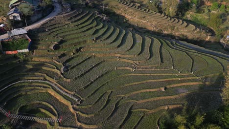 Disparo-Aéreo-De-Un-Dron-Sobrevolando-Terrazas-De-Arroz-En-Las-Montañas-De-Sapa,-Vietnam