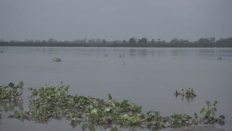 Brahmaputra-Es-Uno-De-Los-Ríos-Más-Grandes-Del-Noreste-De-La-India