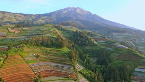 Aerial-view-slope-of-Sumbing-Mountain,-Indonesia