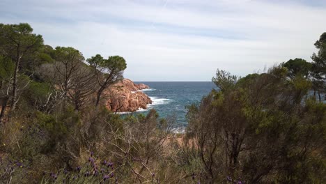 Toma-Manual-De-Viaje-De-La-Costa-De-La-Costa-Brava-En-Cataluña,-España,-Vistas-De-La-Costa-Rocosa-Mediterránea-Entre-Los-árboles