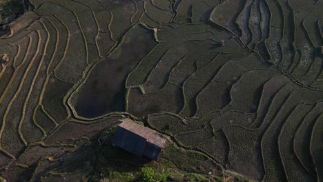 Aerial-drone-shot-flying-over-bright-green-rice-terraces-and-highland-villages-in-the-mountains-of-Sapa,-Vietnam