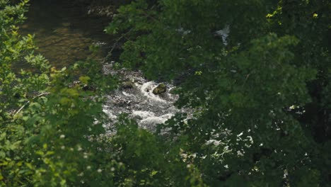 Rushing-river-waters-partially-obscured-by-dense-green-foliage-in-Rastoke,-Croatia