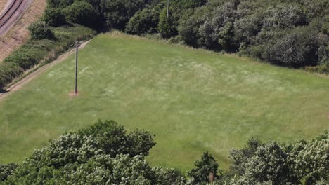 Wind-Weht-Und-Macht-Wellen-Durch-Grasfeld-An-Einem-Sonnigen-Tag,-Weitwinkelaufnahme