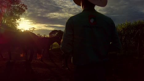 Vaqueros-Del-Rancho-Con-Sombreros-Crían-Caballos-En-La-Granja-Al-Atardecer,-Al-Amanecer.