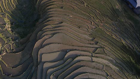 Water-reflecting-in-bright-green-rice-terraces-and-highland-villages-in-the-mountains-of-Sapa,-Vietnam