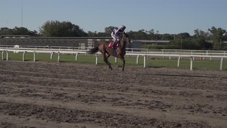 Running-racehorse-with-jockey-riding-on-its-back-at-the-track-for-practice,-panning-shot-slow-motion