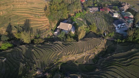 Aerial-drone-shot-of-villages-amdist-bright-green-rice-terraces-in-the-mountains-of-Sapa,-Vietnam