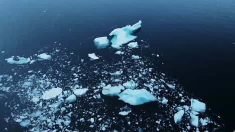 Antarctica-Sea-Ice-Close-Up-Floating-in-the-Ocean,-Small-Bits-of-Ice-in-Sea-Water-in-Antarctica,-Icebergs-in-Antarctic-Peninsula-Ocean-in-Winter,-Seascape-Detail-with-Dark-Background-in-Icy-Scene