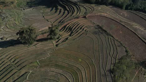 Aerial-drone-shot-of-bright-green-rice-terraces-in-the-mountains-of-Sapa,-Vietnam