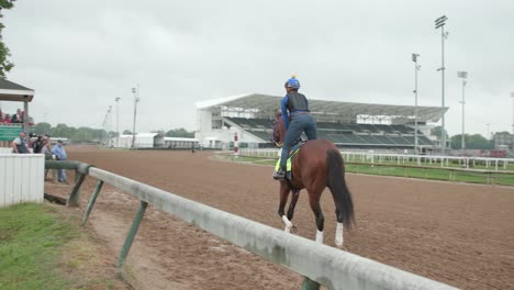 Imágenes-De-Catalytic,-Un-Caballo-De-Carreras,-Calentando-En-La-Pista-En-Preparación-Para-El-Derbi-De-Kentucky-En-Churchill-Downs.