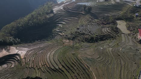 Aerial-drone-shot-of-layers-of-bright-green-rice-terraces-in-the-mountains-of-Sapa,-Vietnam