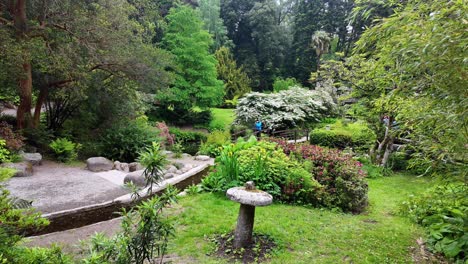 Irlands-Epische-Orte-Powerscourt-Gardens-Im-Garten-Von-Wicklow,-Japanische-Gärten-In-Voller-Blüte-Sommermorgen