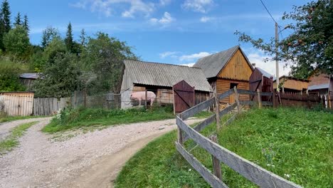 Ländliches-Traditionelles-Haus-Mit-Einem-Riesigen-Schwein