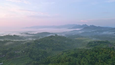 Aerial-view-of-tropical-rural-landscape