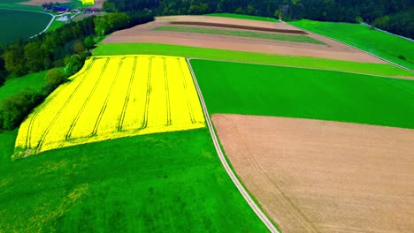 Aerial-View-of-Vibrant-Yellow-Flower-Field-Amidst-Green-and-Brown-Farmland