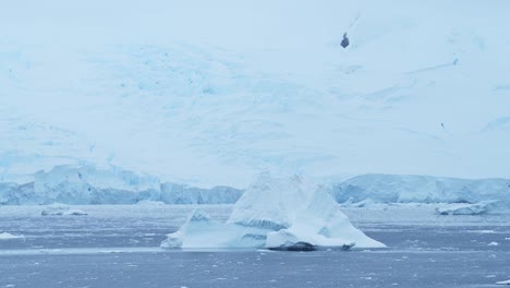 Antarctica-Winter-Iceberg-Landscape-on-Coast-in-Cold-Blue-Antarctic-Peninsula-Scenery-with-Snowy-Snow,-Ice-and-Glacier-in-Dramatic-Beautiful-Coastal-Scene-with-Ocean-Sea-Water