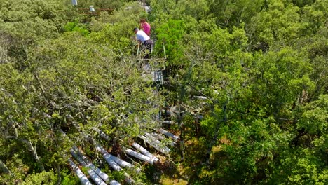 Aerial-shot-revealing-scientists-looking-into-the-gutters-in-Celaneuve-forest