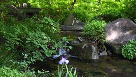 Deslizador-En-Cámara-Lenta-Sobre-Un-Pequeño-Río-Flotante-Y-Una-Cascada-En-Un-Bosque-Exuberante