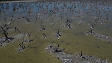 Bodendegradation-Durch-Ungeeignete-Landwirtschaftliche-Praktiken-Und-Rodungen,-Taarbin-Lake,-Australien