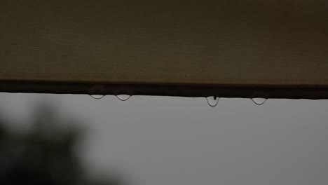 Gotas-De-Lluvia-Que-Gotean-De-La-Tienda:-Detalle-Macro-De-La-Decoración-Del-Evento-De-Primavera