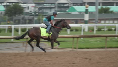 Footage-of-Honor-Marie,-a-race-horse,-during-morning-workouts-at-Churchill-Downs,-preparing-for-the-150th-Kentucky-Derby