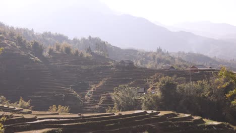 Sunlight-reflecting-in-bright-green-rice-terraces-in-the-mountains-of-Sapa,-Vietnam