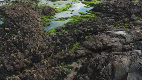 Slow-and-low-drone-flight-over-rock-pools-and-formations-at-low-tide-with-sea-weed,still-pools-and-hidden-places-on-bright-day