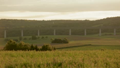 Un-Tren-Cruza-A-Toda-Velocidad-Un-Puente-Imponente-Sobre-Exuberantes-Campos-Verdes-Al-Atardecer,-Capturando-Un-Paisaje-Rural-Tranquilo