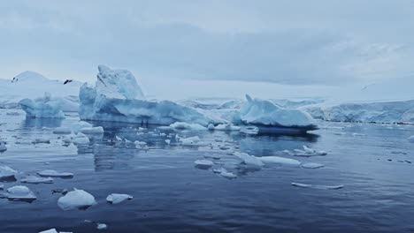 Ice-and-Icebergs-Floating-on-the-Sea-in-Antarctica,-Lots-of-Small-Bits-and-Pieces-of-Ice-on-the-Blue-Ocean-Sea-Water-on-the-Antarctic-Peninsula-in-a-Freezing-Frozen-Icy-Winter-Landscape-Seascape