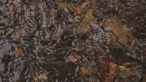 Wasser-Spült-über-Felsen-In-Seichtem-Bach