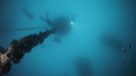 Silhouette-of-a-scuba-divers-swimming-above-a-newly-created-underwater-artificial-reef-art-installation