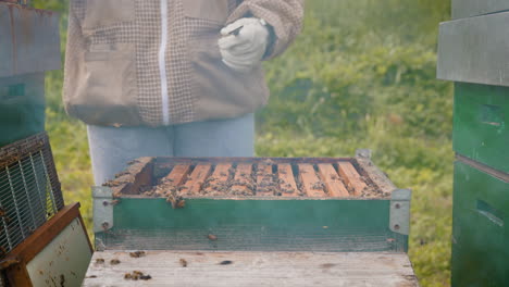 Der-Imker-öffnet-Einen-Bienenstock,-Um-Die-Gesundheit-Der-Bienen-Und-Die-Honigproduktion-Im-Inneren-Zu-überprüfen.