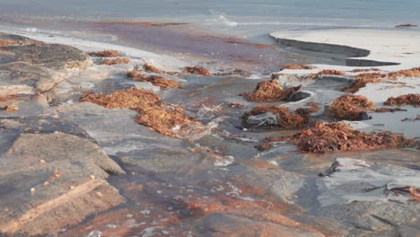 Un-Arroyo-Poco-Profundo-Fluye-A-Través-De-La-Playa-De-Arena-Cubierta-De-Algas-Y-Se-Une-Al-Mar